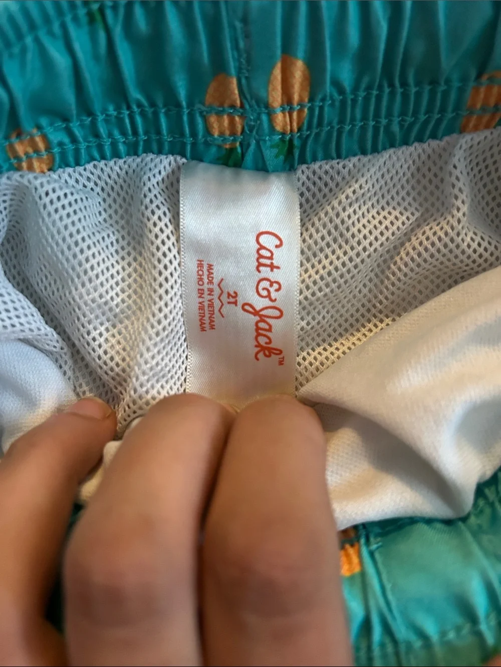 Cat & Jack Boys Turquoise Pineapple Swim Trunks Shorts Size 2T